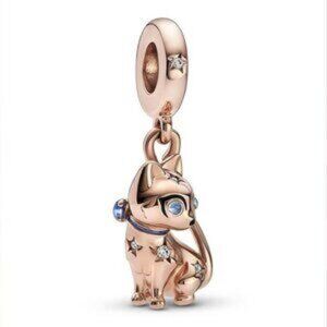 Pandora charms